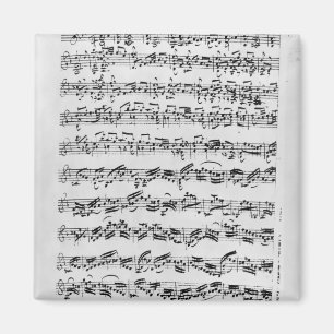 Copy of 'Partita in D Minor for Violin' Magnet