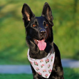 Coquette Aesthetic Light Pink Gingham And Roses Pet Bandana Collar