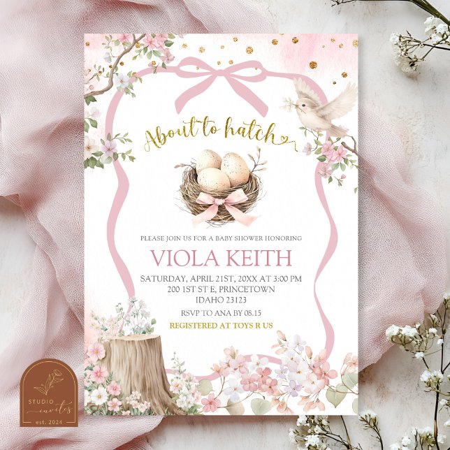 coquette blush pink Spring bird baby shower Invitation (Creator Uploaded)