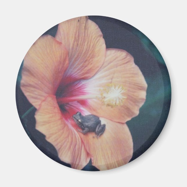 COQUI MAGNET (Front)