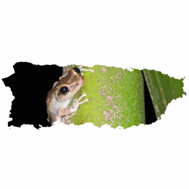 Coqui Sculpture Keychain (Front)