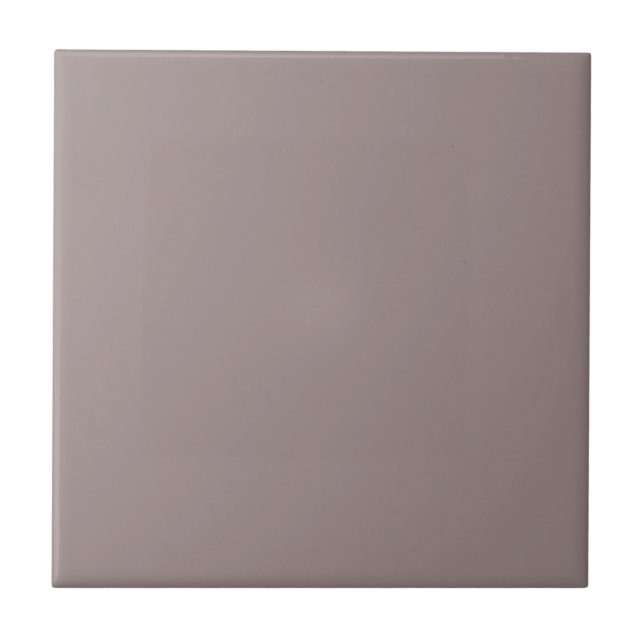 Coquina Shell Purple Square Kitchen and Bathroom Ceramic Tile (Front)