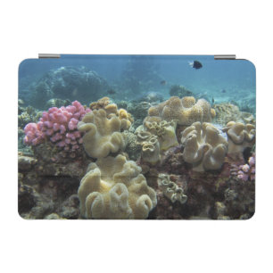Coral, Agincourt Reef, Great Barrier Reef, iPad Mini Cover
