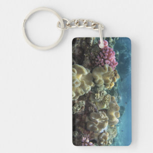 Coral, Agincourt Reef, Great Barrier Reef, Keychain