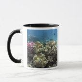 Coral, Agincourt Reef, Great Barrier Reef, Mug (Left)