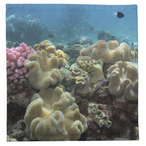 Coral Agincourt Reef Great Barrier Reef Napkin