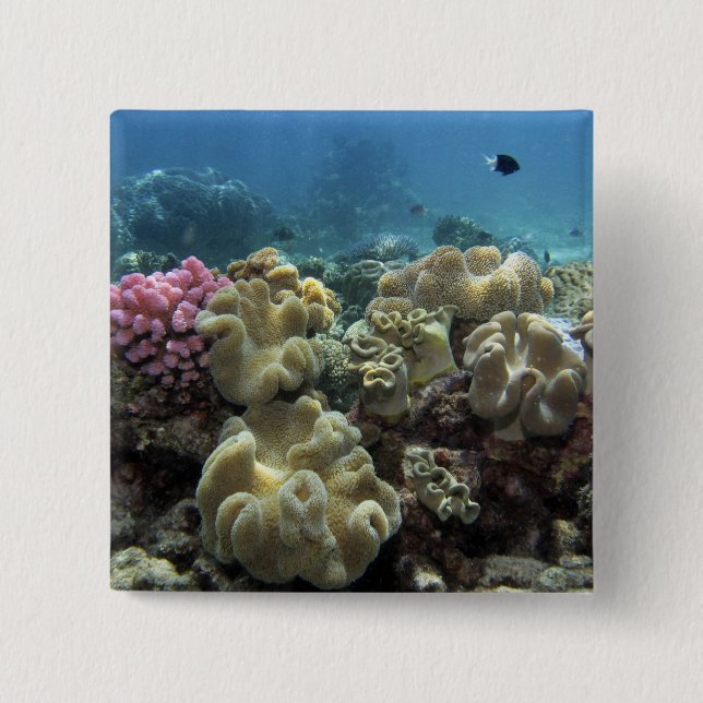 Coral, Agincourt Reef, Great Barrier Reef, Pinback Button (Front)