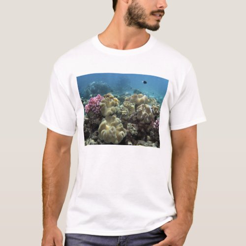 Coral Agincourt Reef Great Barrier Reef T_Shirt