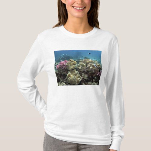 Coral Agincourt Reef Great Barrier Reef T_Shirt