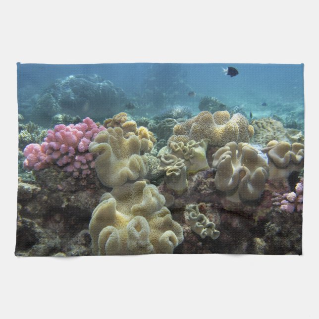 Coral, Agincourt Reef, Great Barrier Reef, Towel (Horizontal)