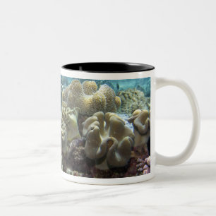 Coral, Agincourt Reef, Great Barrier Reef, Two-Tone Coffee Mug