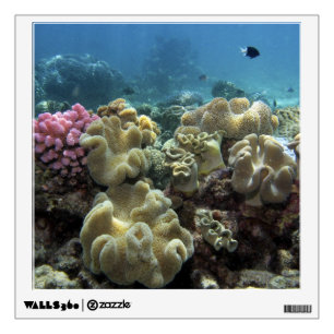 Coral, Agincourt Reef, Great Barrier Reef, Wall Sticker
