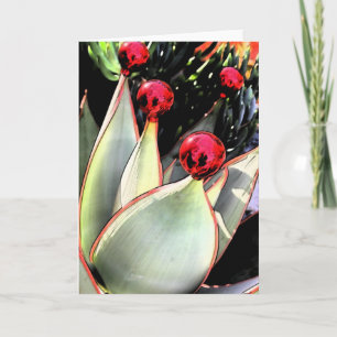 Coral aloe Christmas Holiday Card