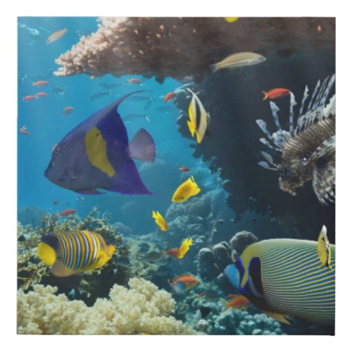 Coral and fish in the Red Sea Egypt Faux Canvas Print
