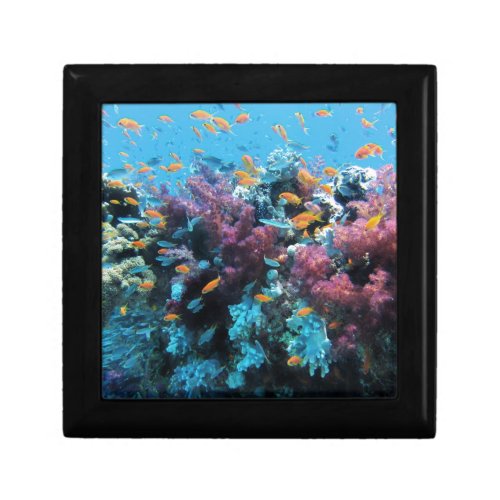 Coral and Fish Keepsake Box