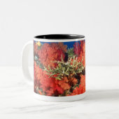 Coral and fish Two-Tone coffee mug (Front Left)