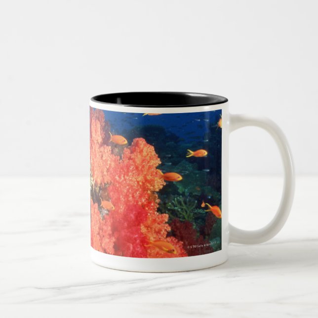Coral and fish Two-Tone coffee mug (Right)