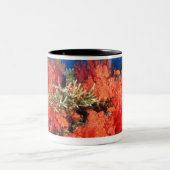 Coral and fish Two-Tone coffee mug (Center)