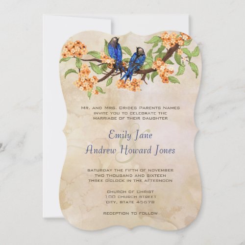 Coral and Royal Blue Vintage Love Birds Tea Stain Invitation