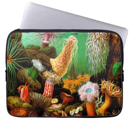 Coral anemones 2 laptop sleeve