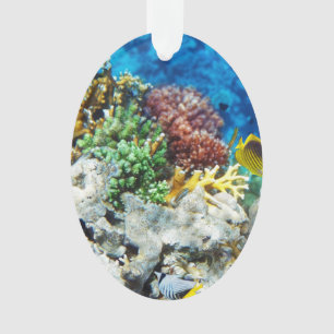 Coral Aquarium Ornament
