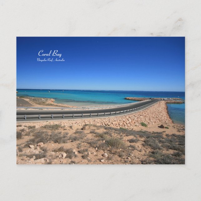Coral Bay, Ningaloo Reef - Postcard (Front)