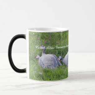 Coral Blue Guinea Color Morph Mug