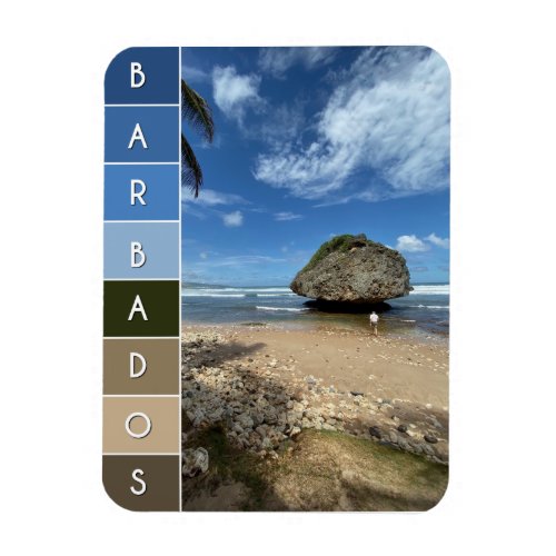 Coral Boulder _ Bathsheba Barbados Magnet