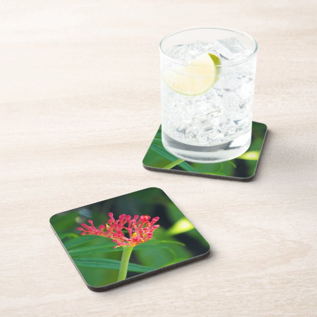 Coral Bush in bloom Beverage Coaster (Right Side)
