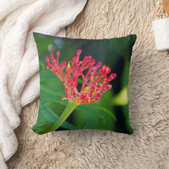 Coral Bush in bloom Throw Pillow (Blanket)