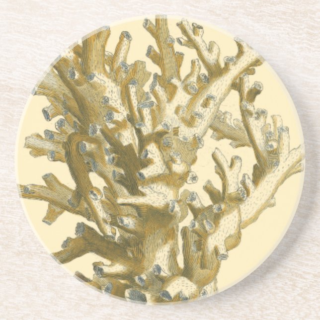 Coral by the Sea Drink Coaster (Front)
