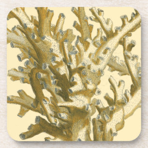 Coral by the Sea Drink Coaster