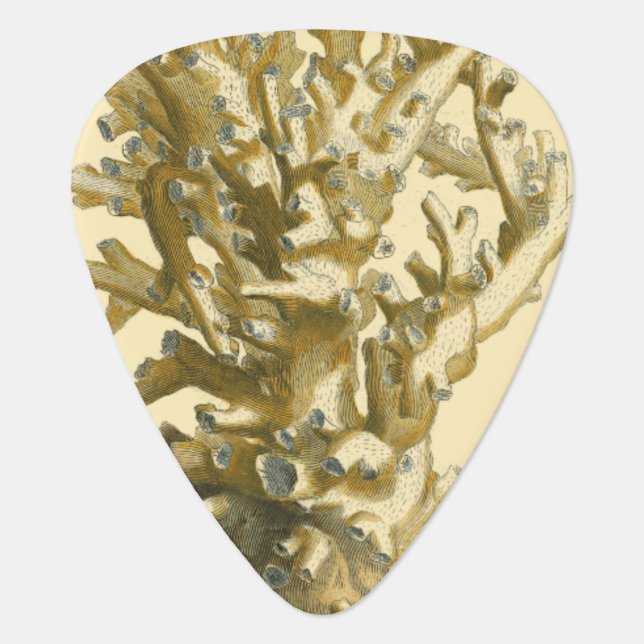 Coral by the Sea Guitar Pick (Front)