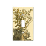 Coral by the Sea Light Switch Cover