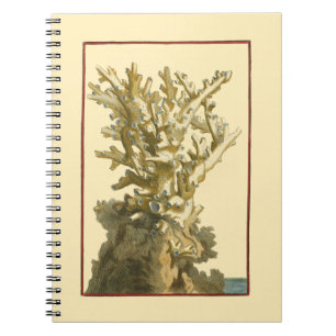 Coral by the Sea Notebook