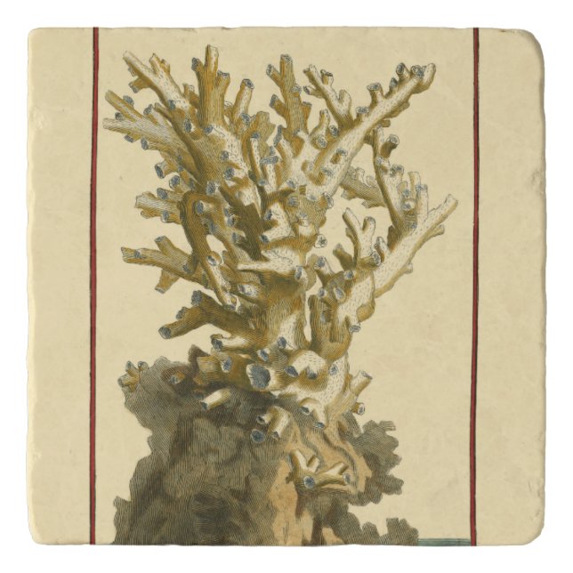 Coral by the Sea Trivet (Front)