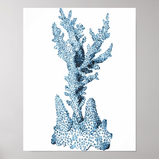 Coral coastal nautical ocean beach sea blue poster (Front)