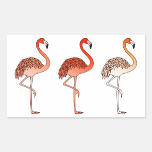 Coral Color Flamingos Rectangular Sticker