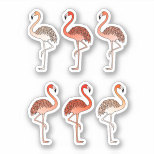 Coral Color Flamingos Sticker