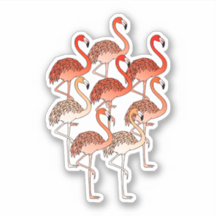 Coral Color Flamingos Sticker