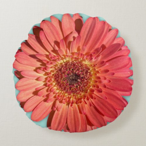 Coral Colored Gerbera Daisy Photo Round Pillow