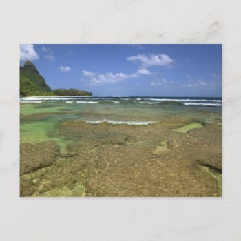 Coral Formations On Tunnels Beach Postcard by tothebeach at Zazzle