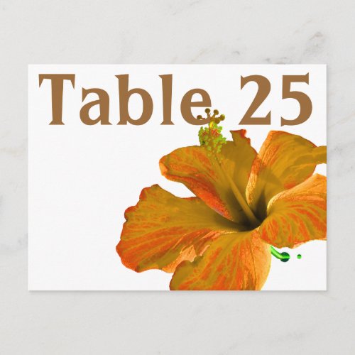 Coral Hibiscus Table Number Card