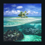 Coral Island Canvas Print<br><div class="desc">Come, explore the coral reef and enjoy the cool island breezes on your own private island.</div>