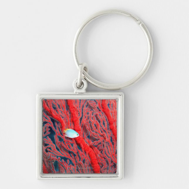 coral keychain (Front)