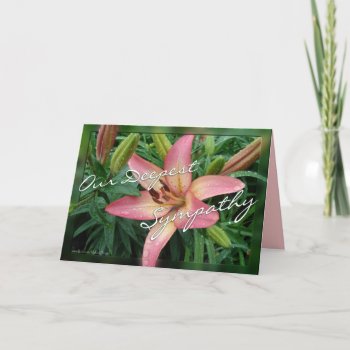 Coral Lily Sympathy-customize Card by MakaraPhotos at Zazzle