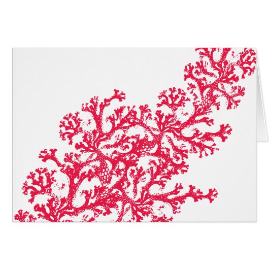 Coral Motif (Front Horizontal)