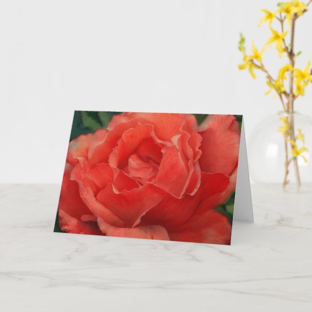Coral Orange Red Rose Art Note Card (Yellow Flower)