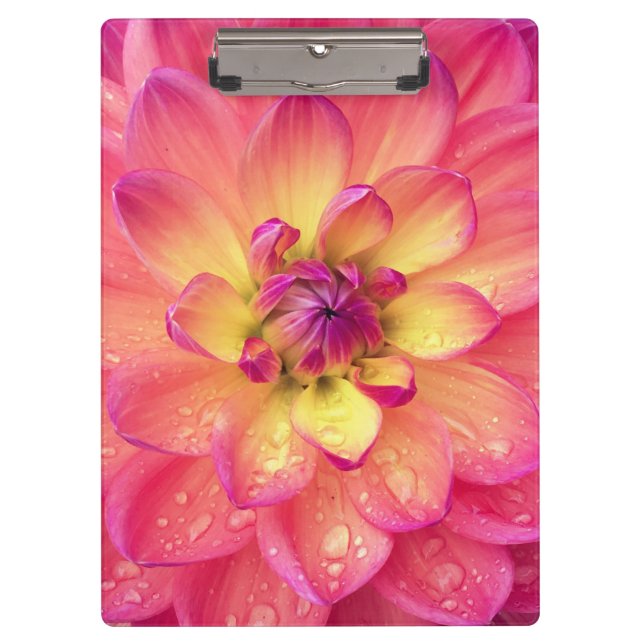 Coral pink dahlia flower clipboard (Front)