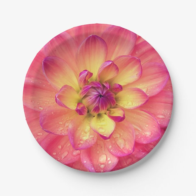 Coral pink dahlia flower paper plate (Front)